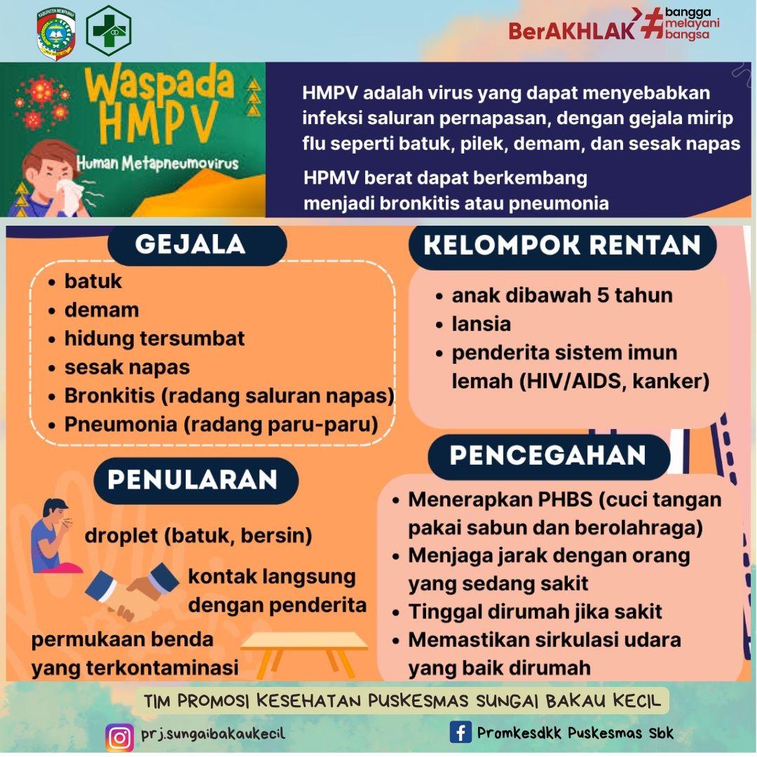 wapada hmpv